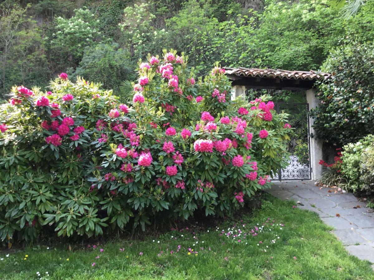 Mon Amour Appartamento In Villa Vista Lago A Lugano-Melide Exterior photo